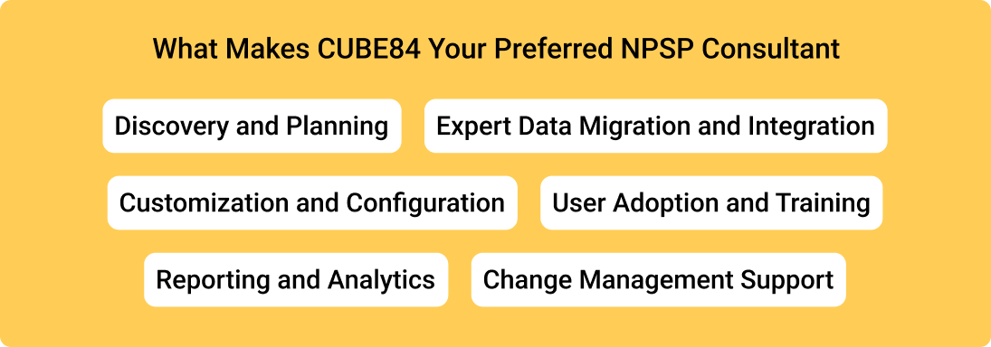 What Makes CUBE84 Your Preferred NPSP Consultant