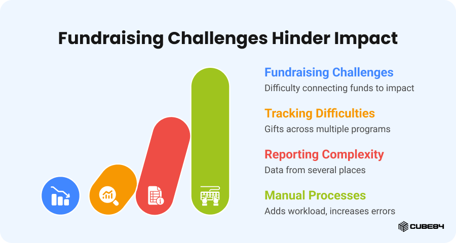 02 Fundraising Challenges Hinder Impact