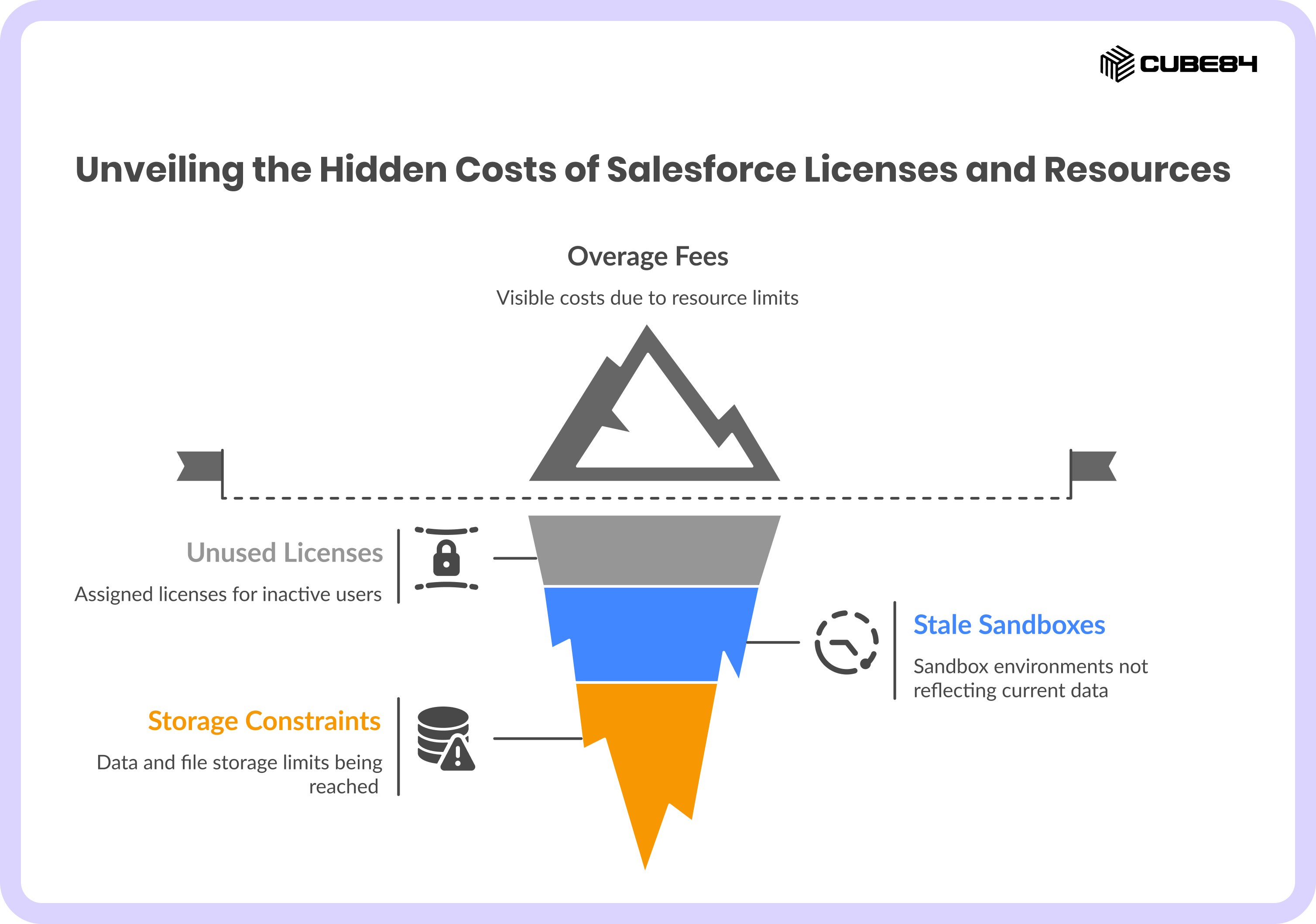 VI. The License and Resource Audit