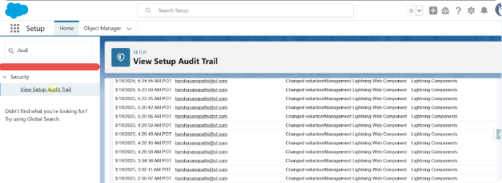 Setup Audit Trail
