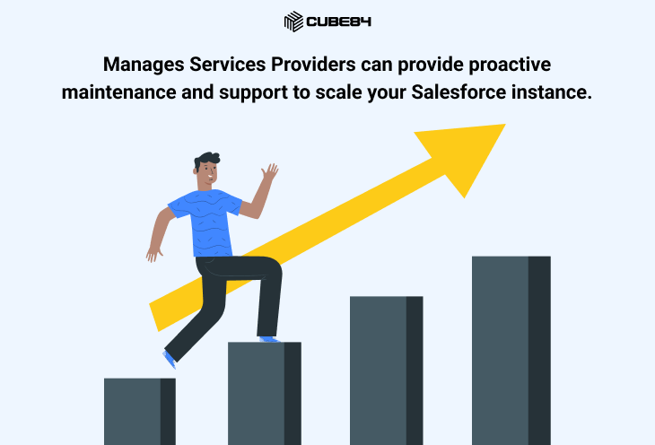 Manages Services Providers can provide proactive maintenance and support to scale your Salesforce instance.