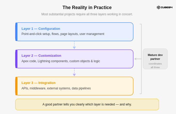 The reality in practice for saelsforce development partner (1) The reality in practice for saelsforce development partner (1)