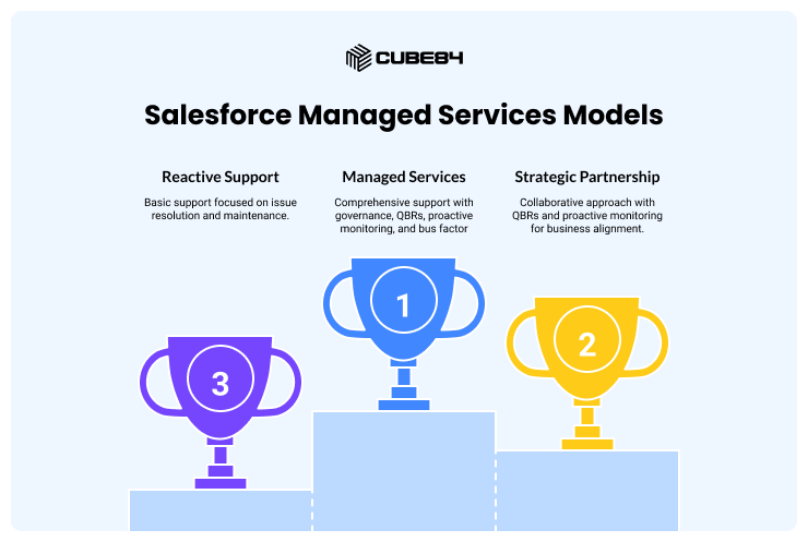 Salesforce Managed Services Models Salesforce Managed Services Models