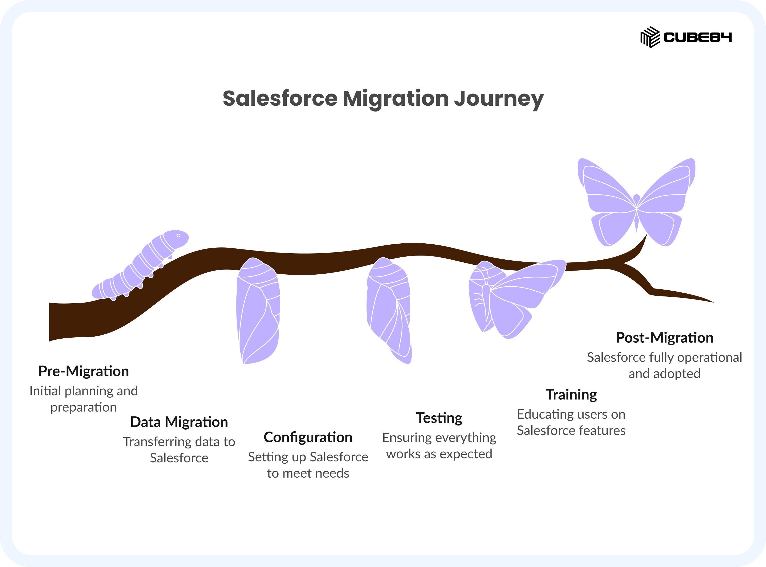 Salesforce Data Migration 6